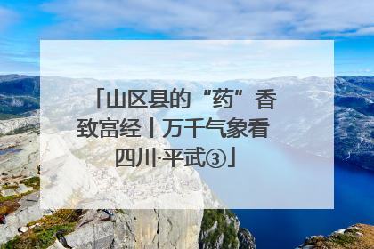 山区县的“药”香致富经丨万千气象看四川·平武③