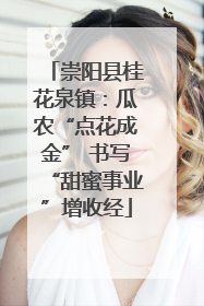 崇阳县桂花泉镇：瓜农“点花成金” 书写“甜蜜事业”增收经