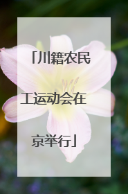 川籍农民工运动会在京举行