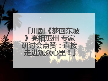 川剧《梦回东坡》亮相惠州 专家研讨会点赞：直接走进观众心里！