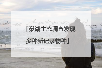 巢湖生态调查发现多种新记录物种