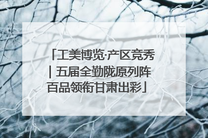 工美博览·产区竞秀｜五届全勤陇原列阵 百品领衔甘肃出彩