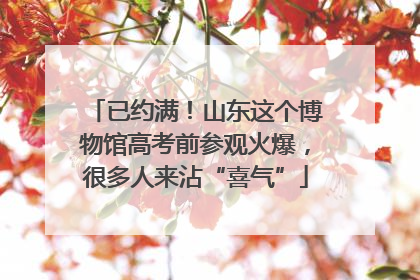 已约满！山东这个博物馆高考前参观火爆，很多人来沾“喜气”