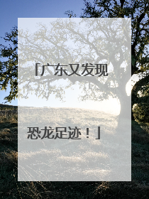 广东又发现恐龙足迹！
