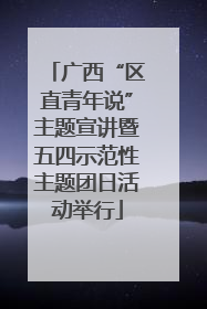 广西“区直青年说”主题宣讲暨五四示范性主题团日活动举行