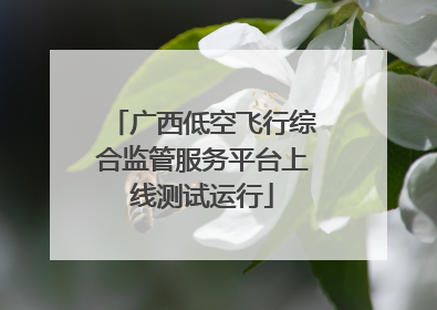 广西低空飞行综合监管服务平台上线测试运行