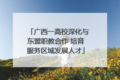 广西一高校深化与东盟职教合作 培育服务区域发展人才