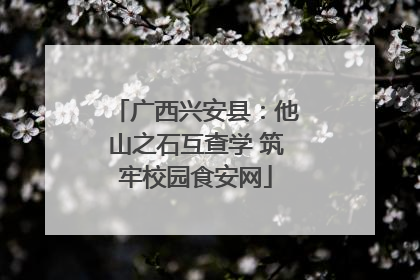 广西兴安县：他山之石互查学 筑牢校园食安网