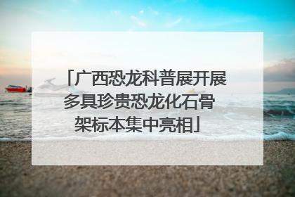 广西恐龙科普展开展 多具珍贵恐龙化石骨架标本集中亮相