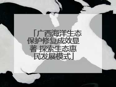 广西海洋生态保护修复成效显著 探索生态惠民发展模式