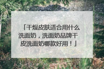 干燥皮肤适合用什么洗面奶，洗面奶品牌干皮洗面奶哪款好用！