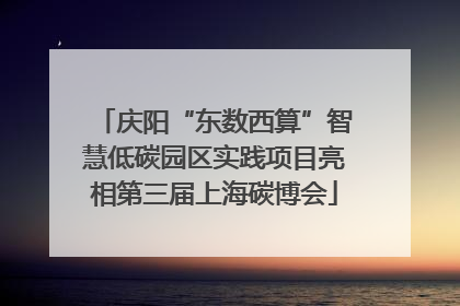 庆阳“东数西算”智慧低碳园区实践项目亮相第三届上海碳博会