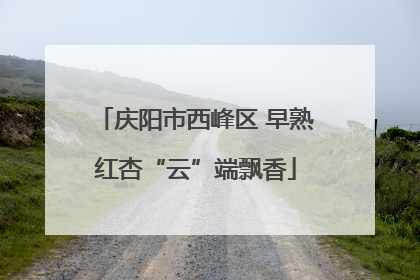 庆阳市西峰区 早熟红杏“云”端飘香