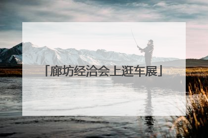 廊坊经洽会上逛车展