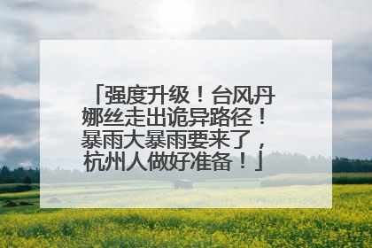 强度升级！台风丹娜丝走出诡异路径！暴雨大暴雨要来了，杭州人做好准备！
