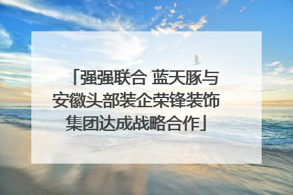 强强联合 蓝天豚与安徽头部装企荣锋装饰集团达成战略合作