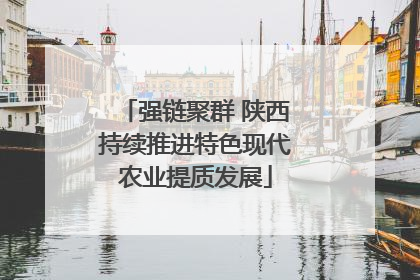 强链聚群 陕西持续推进特色现代农业提质发展