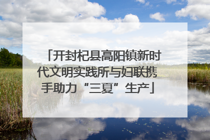 开封杞县高阳镇新时代文明实践所与妇联携手助力“三夏”生产