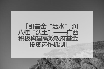 引基金“活水” 润八桂“沃土”——广西积极构建高效政府基金投资运作机制