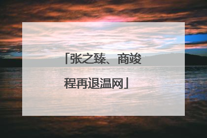 张之臻、商竣程再退温网