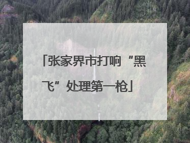 张家界市打响“黑飞”处理第一枪