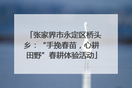 张家界市永定区桥头乡：“手挽春苗，心耕田野”春耕体验活动