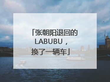 张朝阳退回的LABUBU，换了一辆车
