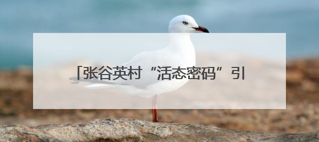 张谷英村“活态密码”引百万客！古村焕新，家风+科技成文旅融合新爆点