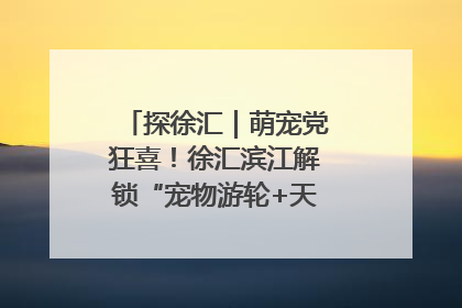 探徐汇｜萌宠党狂喜！徐汇滨江解锁“宠物游轮+天台乐园”双玩法