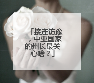接连访豫，中亚国家的州长最关心啥？