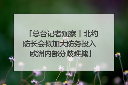 总台记者观察丨北约防长会拟加大防务投入 欧洲内部分歧难掩