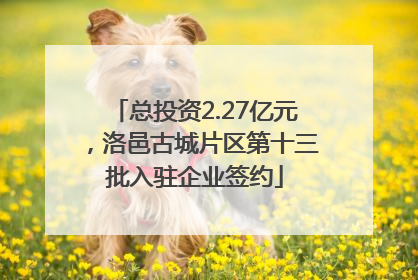 总投资2.27亿元，洛邑古城片区第十三批入驻企业签约