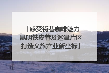 感受街巷咖啡魅力 昆明铁皮巷及巡津片区打造文旅产业新坐标