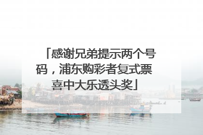 感谢兄弟提示两个号码，浦东购彩者复式票喜中大乐透头奖