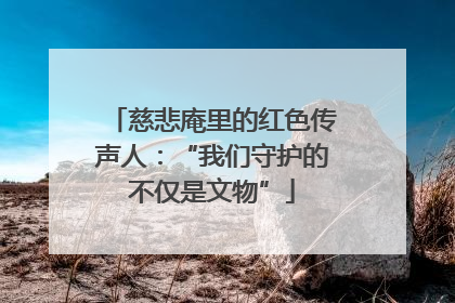 慈悲庵里的红色传声人：“我们守护的不仅是文物”