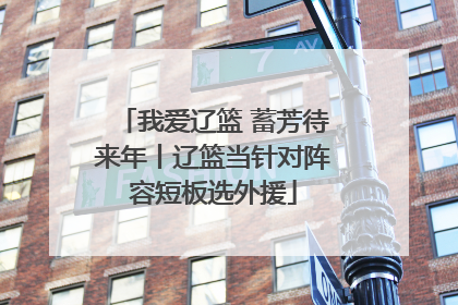我爱辽篮 蓄芳待来年丨辽篮当针对阵容短板选外援
