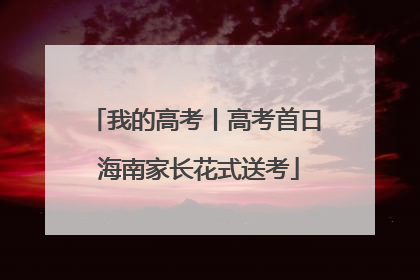 我的高考丨高考首日 海南家长花式送考
