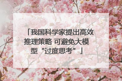 我国科学家提出高效推理策略 可避免大模型“过度思考”
