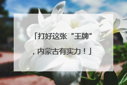 打好这张“王牌”，内蒙古有实力！