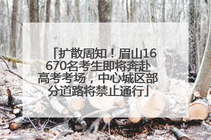 扩散周知！眉山16670名考生即将奔赴高考考场，中心城区部分道路将禁止通行