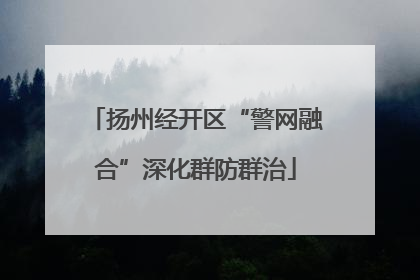 扬州经开区“警网融合”深化群防群治