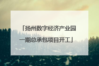 扬州数字经济产业园一期总承包项目开工