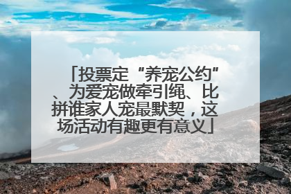 投票定“养宠公约”、为爱宠做牵引绳、比拼谁家人宠最默契，这场活动有趣更有意义