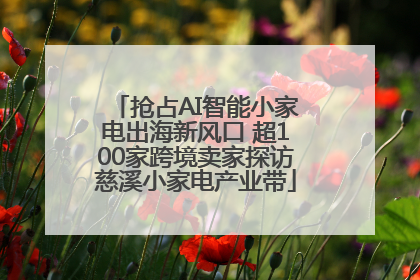 抢占AI智能小家电出海新风口 超100家跨境卖家探访慈溪小家电产业带