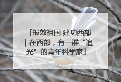 报效祖国 建功西部｜在西部，有一群“追光”的青年科学家