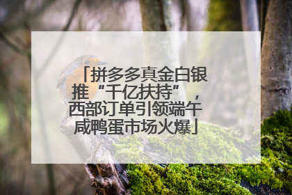 拼多多真金白银推“千亿扶持”，西部订单引领端午咸鸭蛋市场火爆