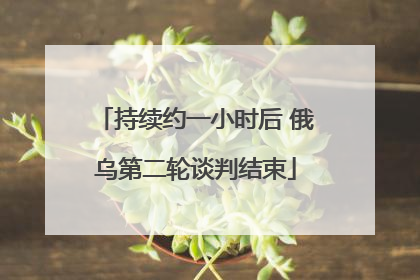 持续约一小时后 俄乌第二轮谈判结束