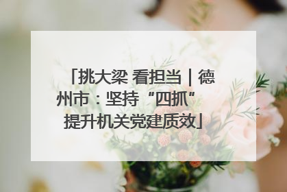挑大梁 看担当｜德州市：坚持“四抓” 提升机关党建质效