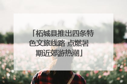 柘城县推出四条特色文旅线路 点燃暑期近郊游热潮