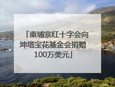 柬埔寨红十字会向坤塔宝花基金会捐赠100万美元